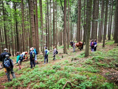 První letní den strávily děti na akci Do lesa s lesníkem